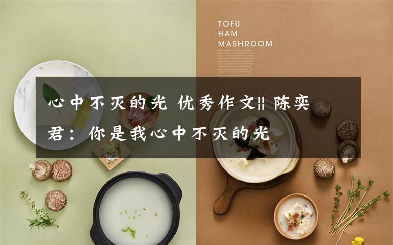 心中不灭的光 优秀作文|| 陈奕君：你是我心中不灭的光
