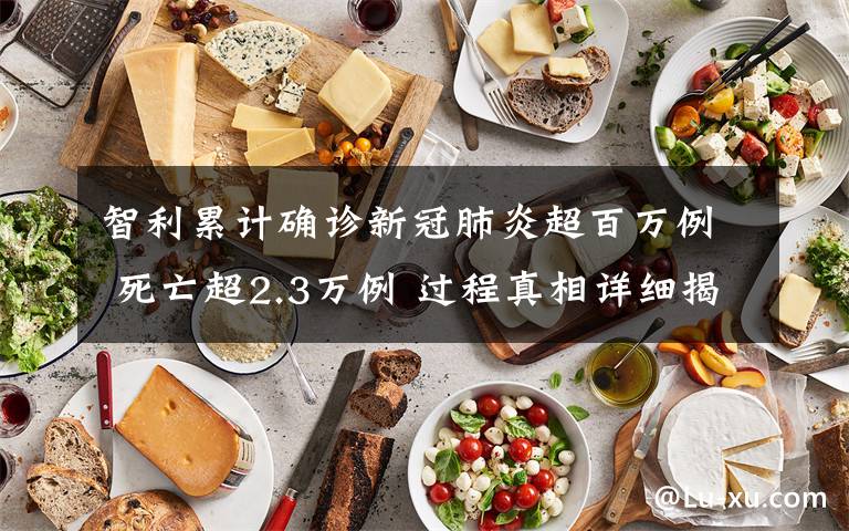 智利累计确诊新冠肺炎超百万例 死亡超2.3万例 过程真相详细揭秘!