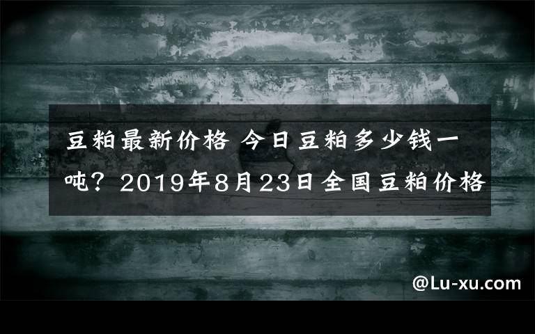 豆粕最新价格 今日豆粕多少钱一吨?2019年8月23日全国豆粕价格行情