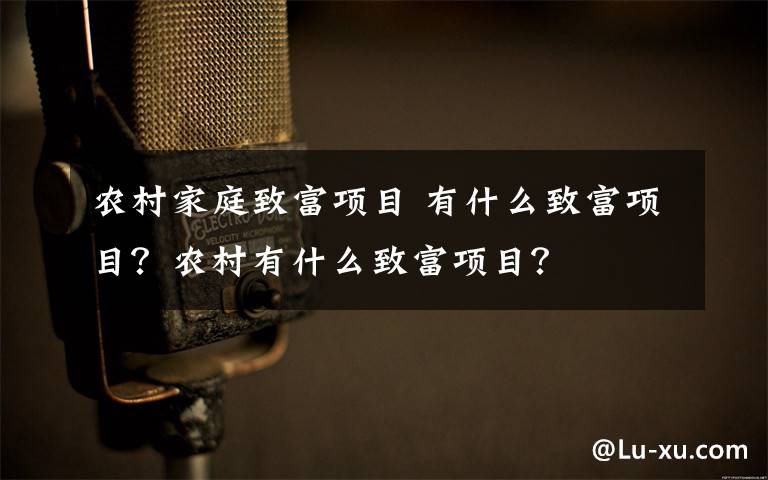 农村家庭致富项目 有什么致富项目？农村有什么致富项目？