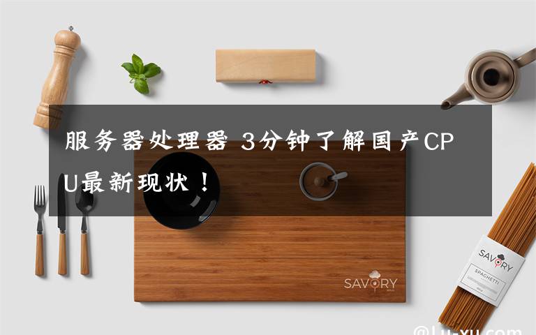 服务器处理器 3分钟了解国产CPU最新现状!