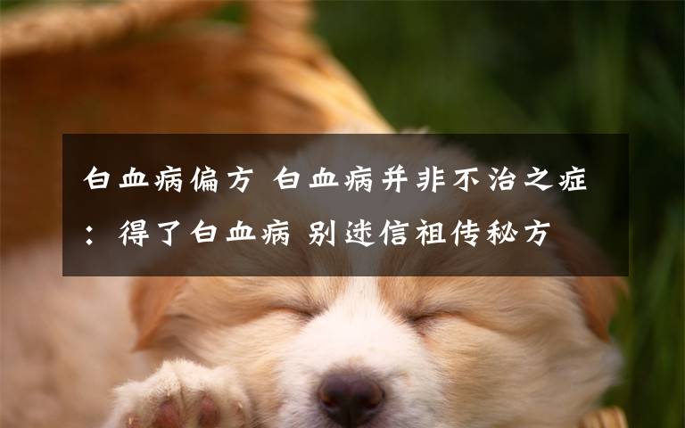 白血病偏方 白血病并非不治之症:得了白血病 别迷信祖传秘方