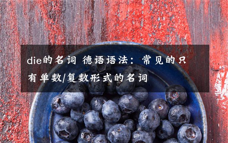 die的名词 德语语法:常见的只有单数/复数形式的名词