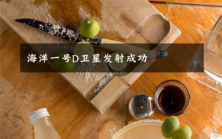 海洋一号D卫星发射成功