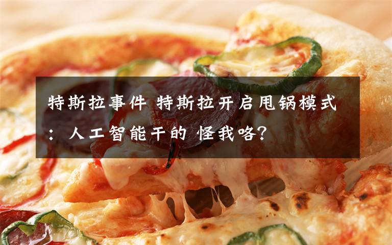 特斯拉事件 特斯拉开启甩锅模式：人工智能干的 怪我咯？