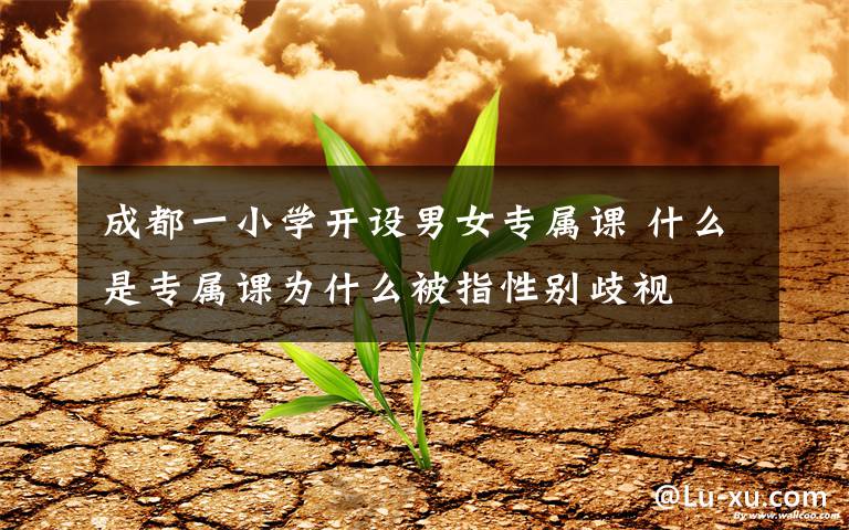 成都一小学开设男女专属课 什么是专属课为什么被指性别歧视