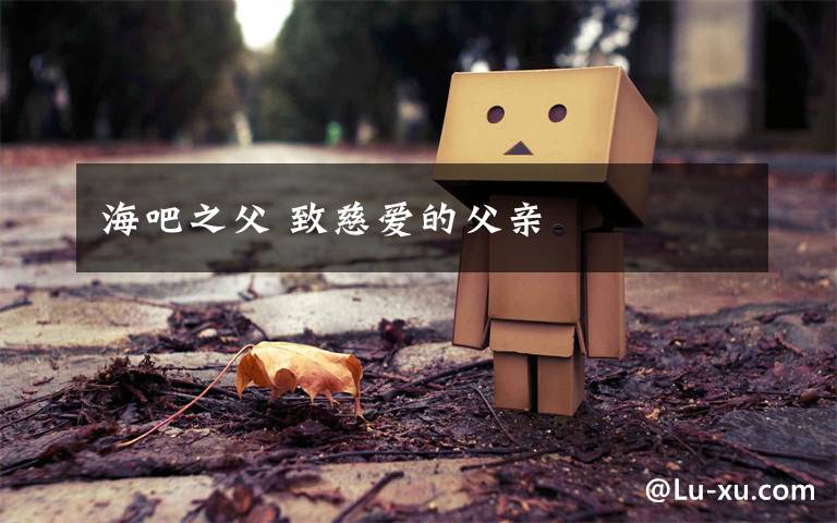 海吧之父 致慈爱的父亲