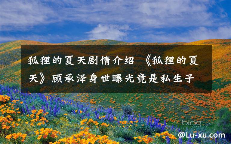 狐狸的夏天剧情介绍 《狐狸的夏天》顾承泽身世曝光竟是私生子 《狐狸的夏天》大结局剧情