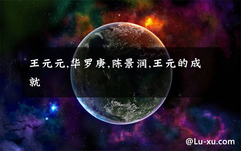 王元元,华罗庚,陈景润,王元的成就