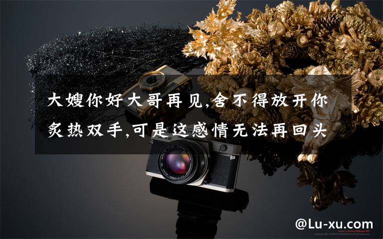 大嫂你好大哥再见,舍不得放开你炙热双手,可是这感情无法再回头是什么歌名?