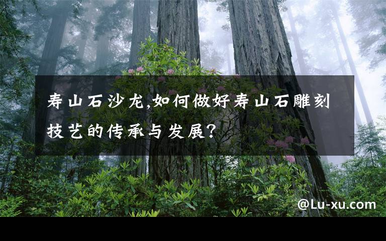 寿山石沙龙,如何做好寿山石雕刻技艺的传承与发展？