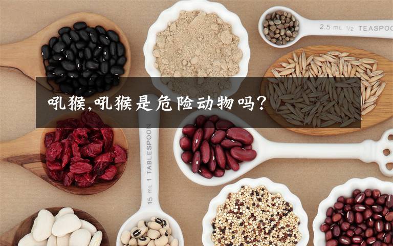 吼猴,吼猴是危险动物吗?