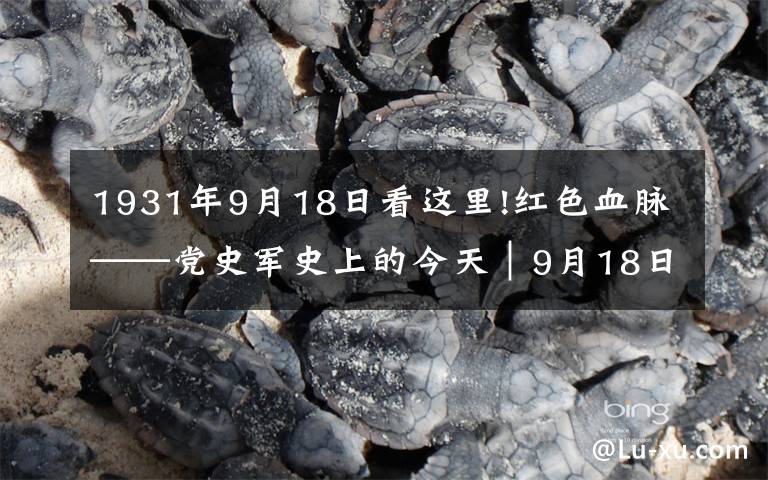 1931年9月18日看这里!红色血脉——党史军史上的今天｜9月18日 九一八事变