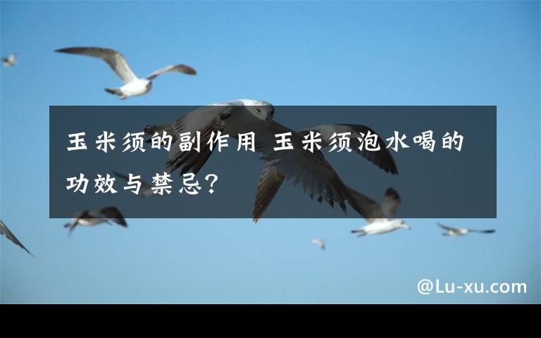 玉米须的副作用 玉米须泡水喝的功效与禁忌?
