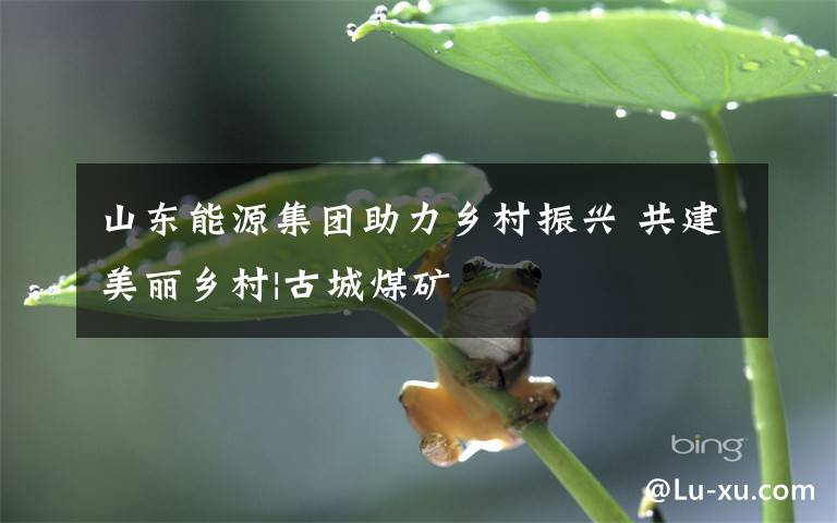 山东能源集团助力乡村振兴 共建美丽乡村|古城煤矿