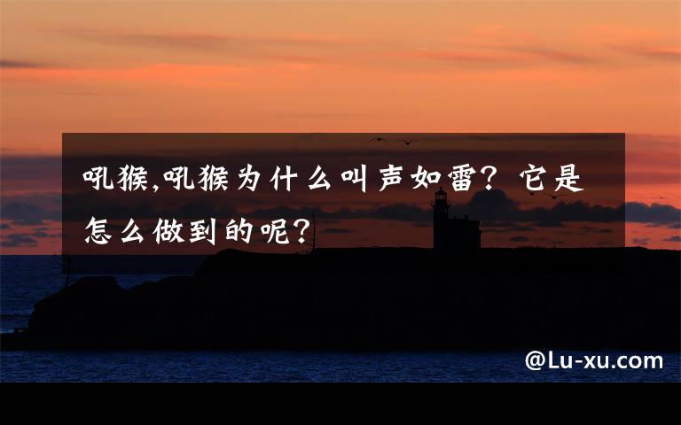吼猴,吼猴为什么叫声如雷？它是怎么做到的呢？