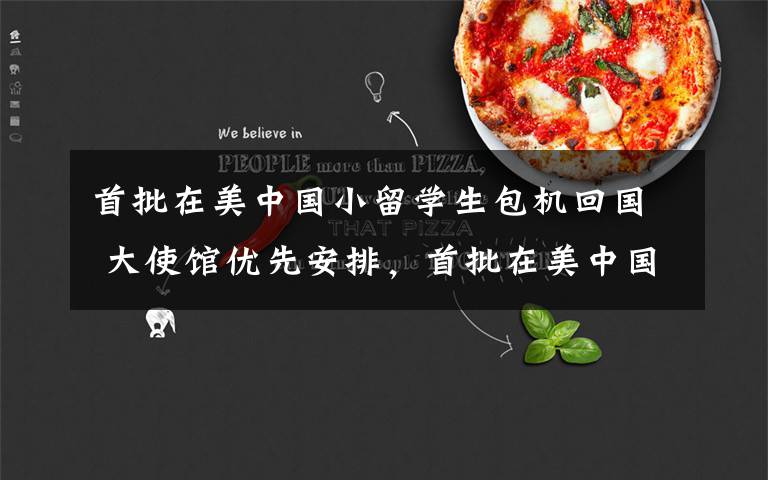 首批在美中国小留学生包机回国 大使馆优先安排,首批在美中国小留学生包机回国