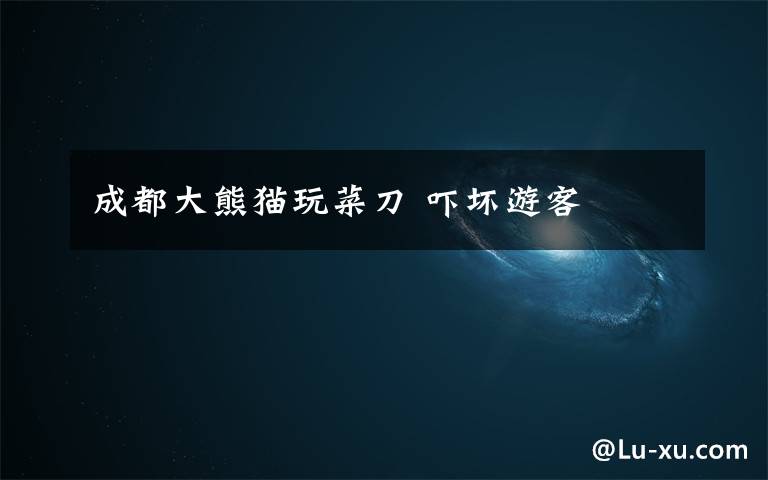 成都大熊猫玩菜刀 吓坏游客