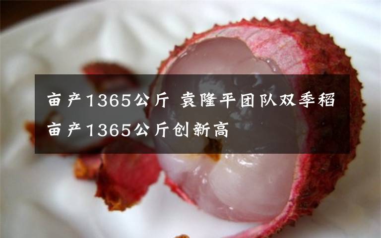 亩产1365公斤 袁隆平团队双季稻亩产1365公斤创新高