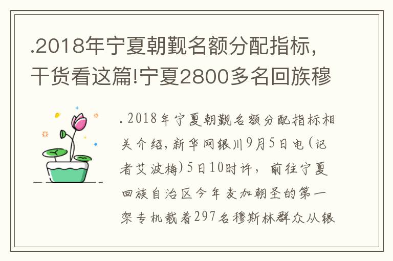 .2018年宁夏朝觐名额分配指标，干货看这篇!宁夏2800多名回族穆斯林乘包机赴麦加朝觐