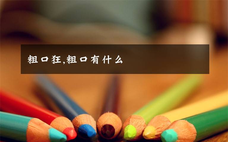 粗口狂,粗口有什么