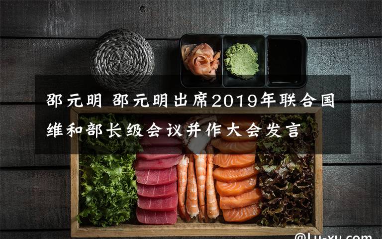 邵元明 邵元明出席2019年联合国维和部长级会议并作大会发言