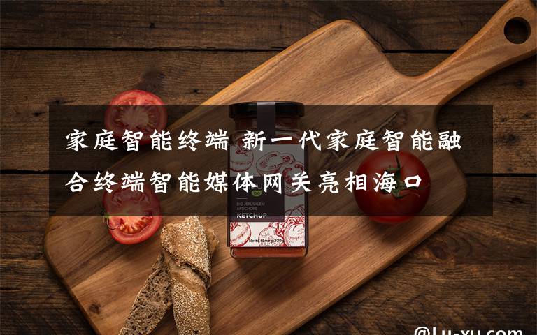 家庭智能终端 新一代家庭智能融合终端智能媒体网关亮相海口