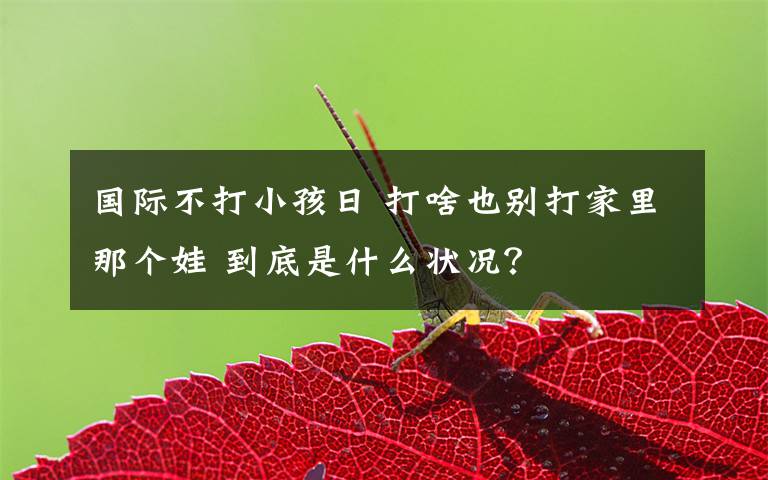 国际不打小孩日 打啥也别打家里那个娃 到底是什么状况?