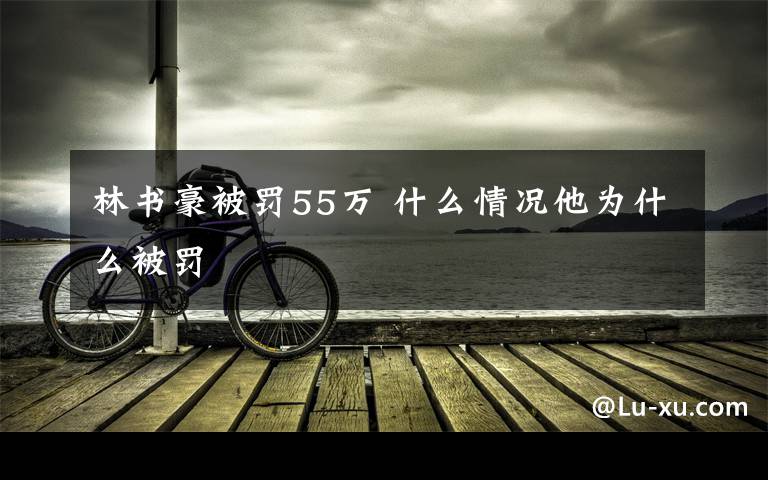 林书豪被罚55万 什么情况他为什么被罚