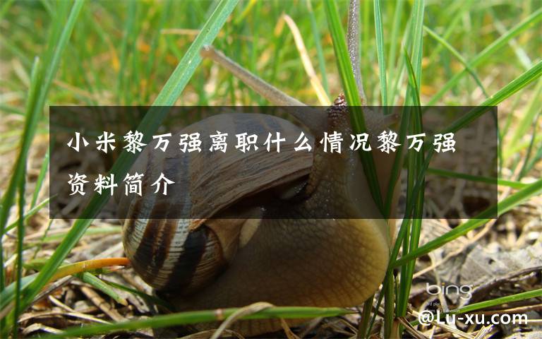 小米黎万强离职什么情况黎万强资料简介