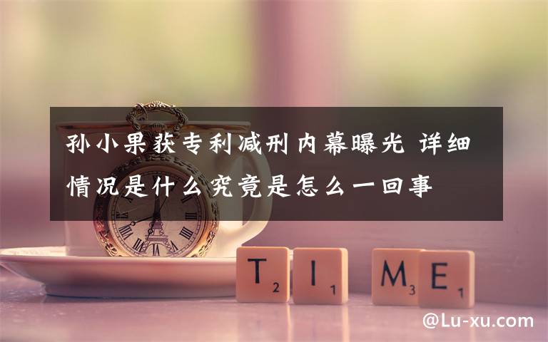 孙小果获专利减刑内幕曝光 详细情况是什么究竟是怎么一回事