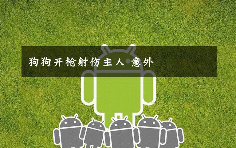 狗狗开枪射伤主人 意外