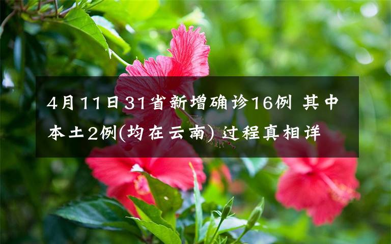 4月11日31省新增确诊16例 其中本土2例(均在云南) 过程真相详细揭秘!