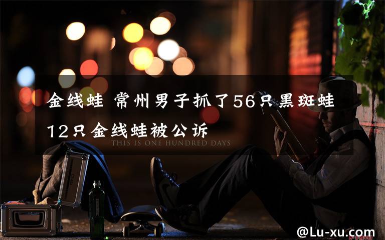 金线蛙 常州男子抓了56只黑斑蛙12只金线蛙被公诉