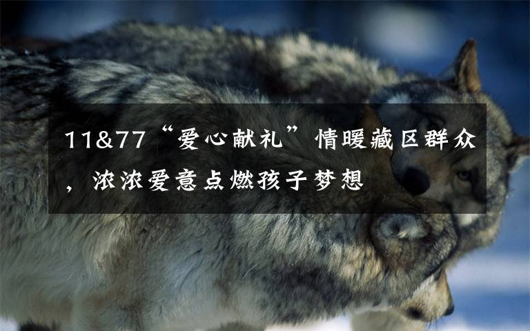 11&77“爱心献礼”情暖藏区群众,浓浓爱意点燃孩子梦想