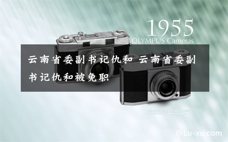 云南省委副书记仇和 云南省委副书记仇和被免职