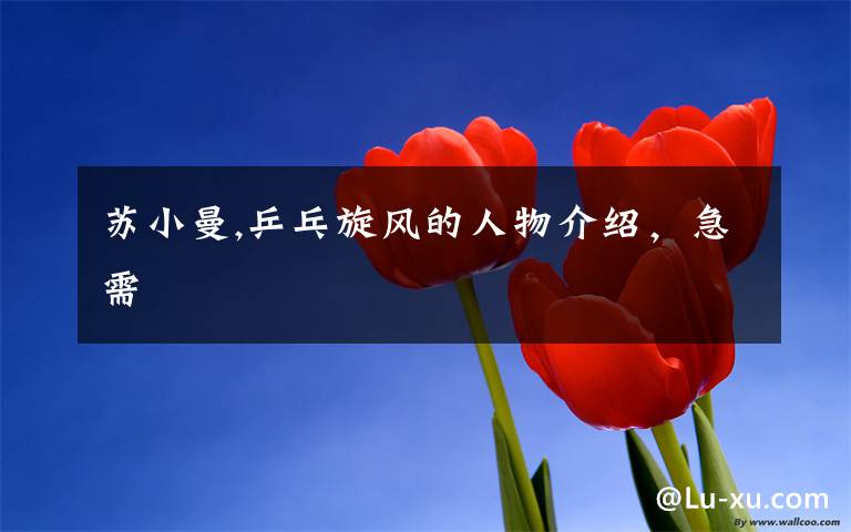 苏小曼,乒乓旋风的人物介绍,急需