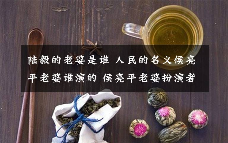 陆毅的老婆是谁 人民的名义侯亮平老婆谁演的 侯亮平老婆扮演者是谁个人详细资料简介