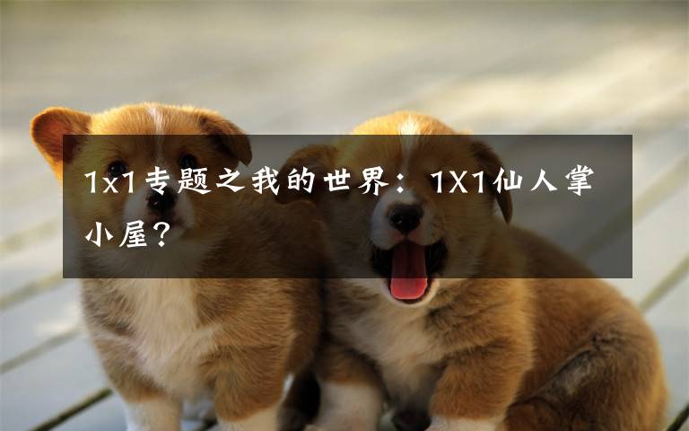 1x1专题之我的世界:1X1仙人掌小屋?