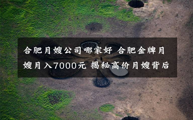 合肥月嫂公司哪家好 合肥金牌月嫂月入7000元 揭秘高价月嫂背后的故事