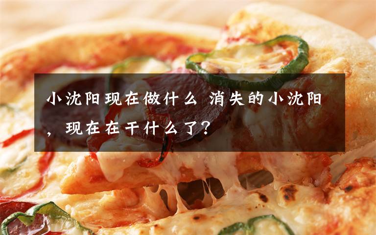 小沈阳现在做什么 消失的小沈阳,现在在干什么了?