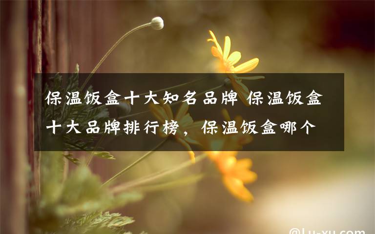 保温饭盒十大知名品牌 保温饭盒十大品牌排行榜,保温饭盒哪个牌子好?