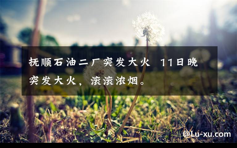 抚顺石油二厂突发大火 11日晚突发大火,滚滚浓烟。