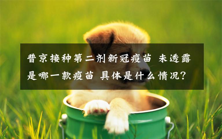 普京接种第二剂新冠疫苗 未透露是哪一款疫苗 具体是什么情况？