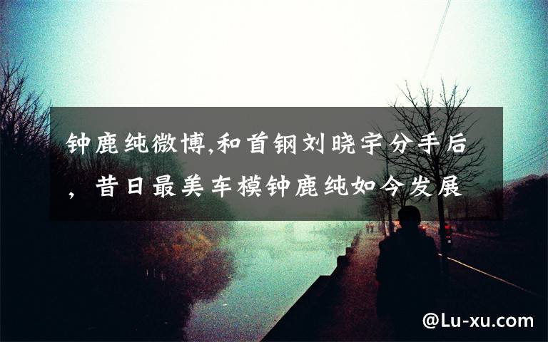 钟鹿纯微博,和首钢刘晓宇分手后,昔日最美车模钟鹿纯如今发展如何?