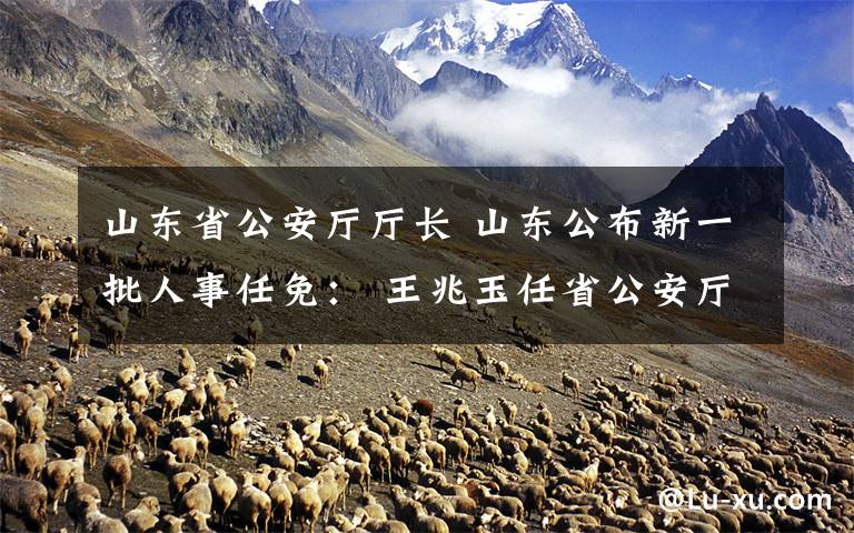 山东省公安厅厅长 山东公布新一批人事任免: 王兆玉任省公安厅常务副厅长