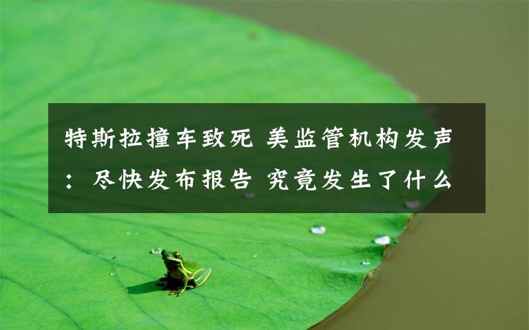 特斯拉撞车致死 美监管机构发声:尽快发布报告 究竟发生了什么?