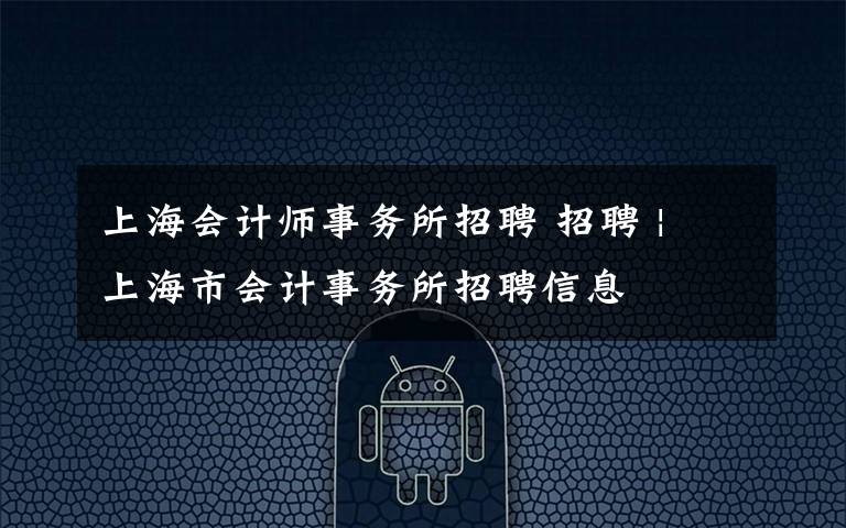 上海会计师事务所招聘 招聘 | 上海市会计事务所招聘信息
