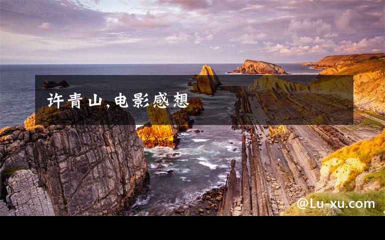 许青山,电影感想