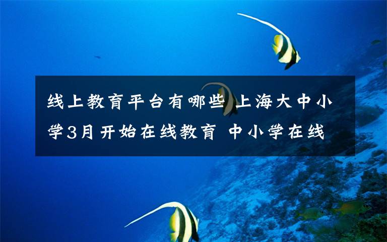 线上教育平台有哪些 上海大中小学3月开始在线教育 中小学在线教育平台有哪些
